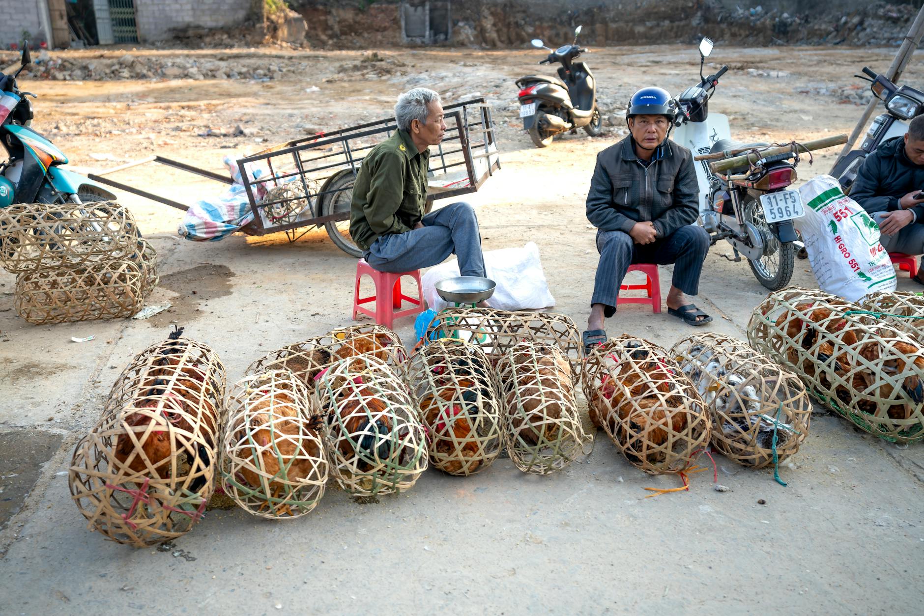 Aged Asian men in casual clothes sitting on street near cages with domestic chickens on local market in poor district un daytime
