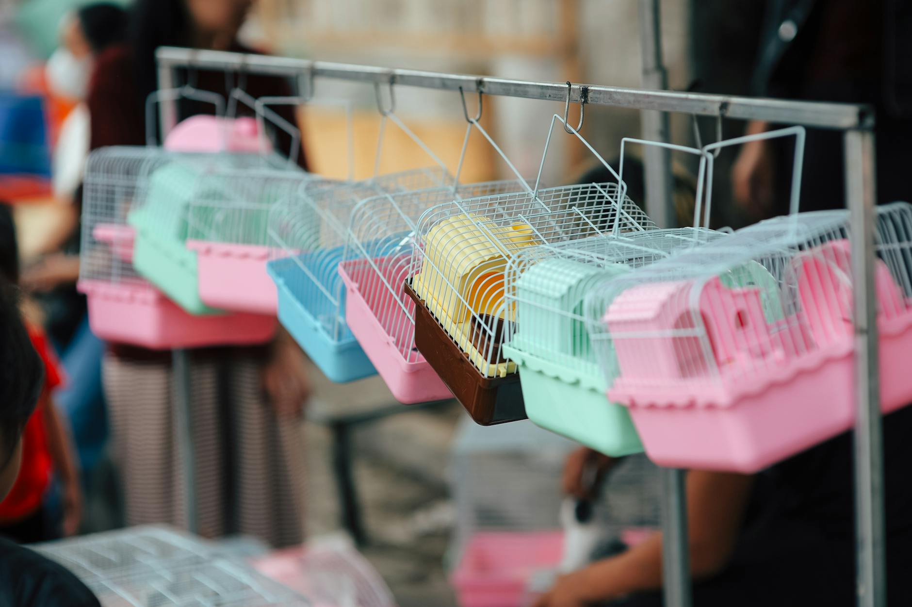Vibrant bird cages hang in a market stall setting, showcasing pastel colors.