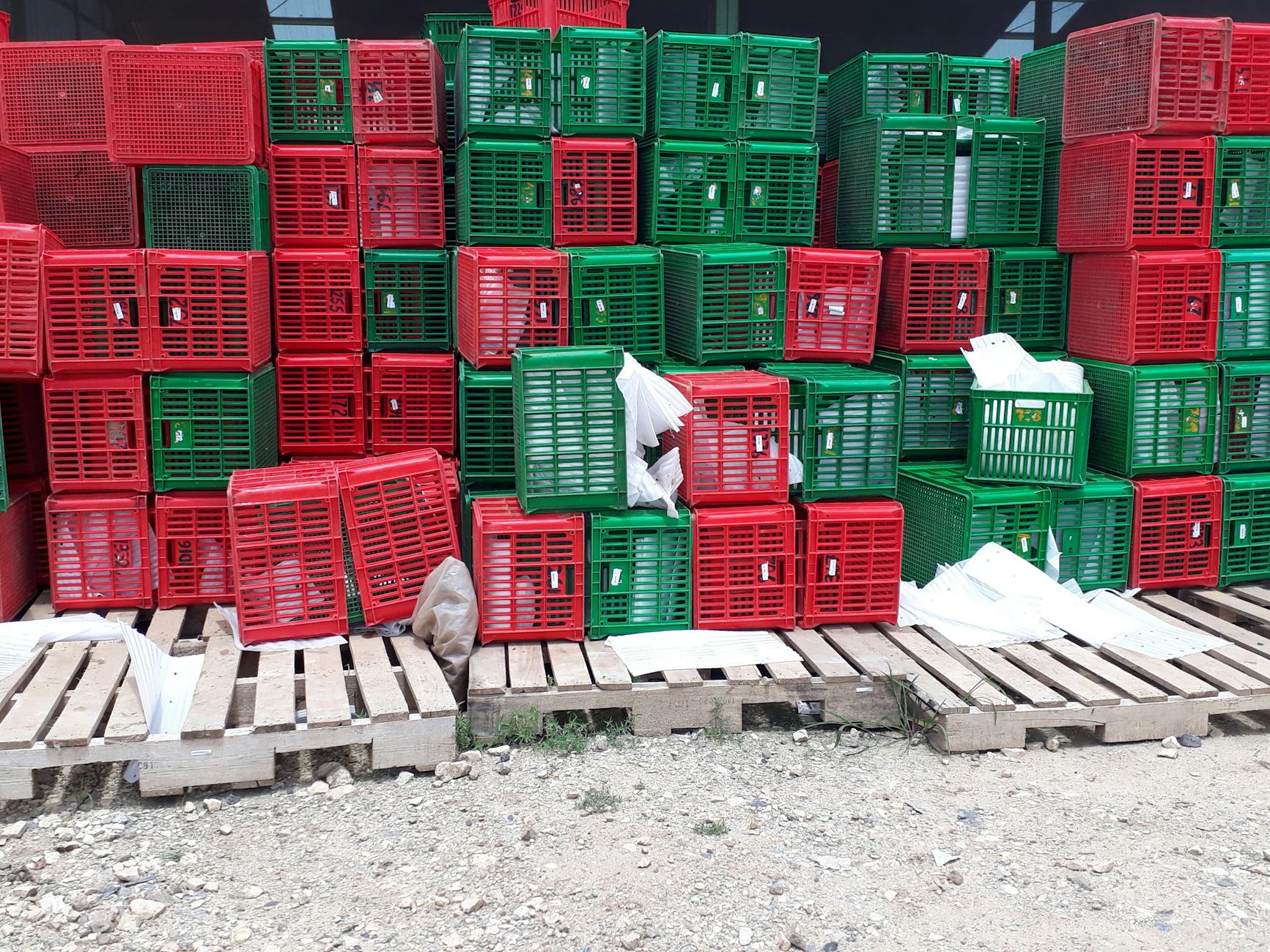 Colorful red and green plastic crates stacked on wooden pallets outdoors in Lampung, Indonesia.