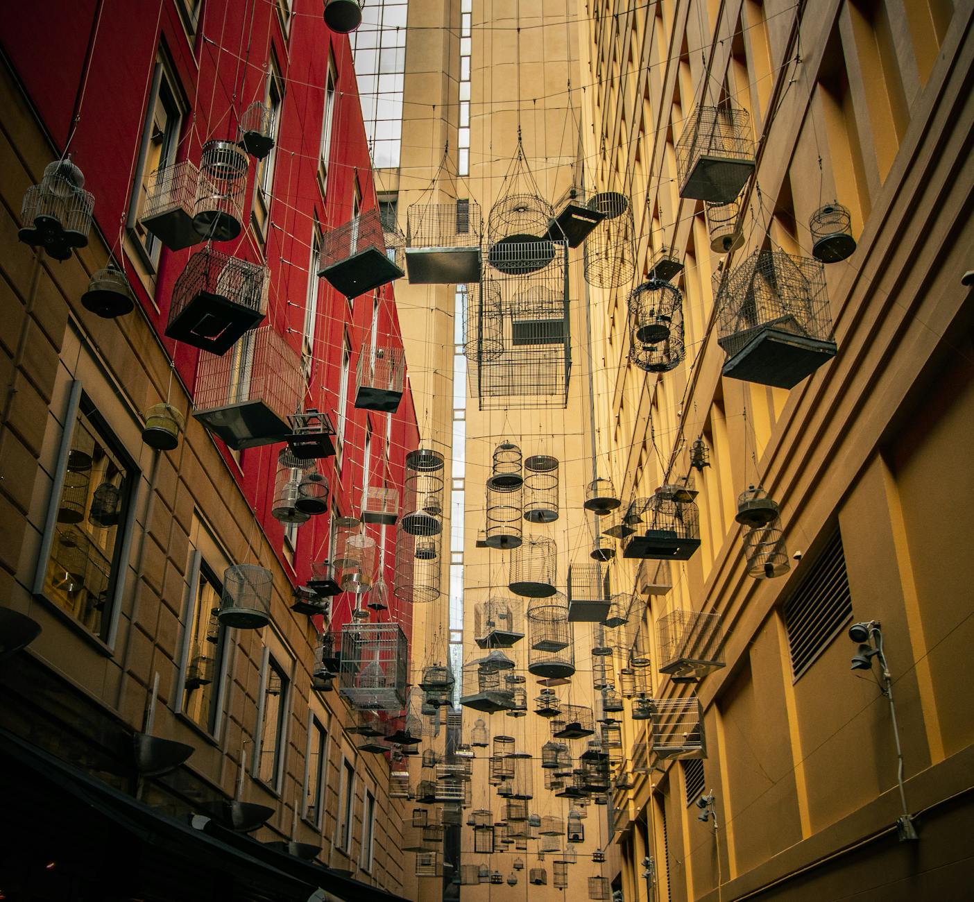 Artistic display of bird cages hanging between buildings in a Sydney alley.
